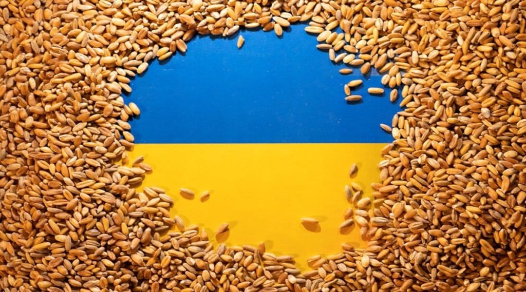 global food security
