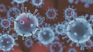 Bharat Biotech, Intranasal covid vaccine, covid vaccine, health news, pharma news,