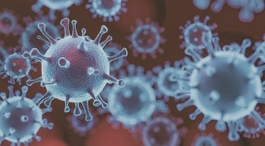 Bharat Biotech, Intranasal covid vaccine, covid vaccine, health news, pharma news,