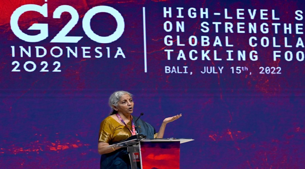 Sitharaman said there is an urgency to bolster food production and the global food system. (AP/PTI)