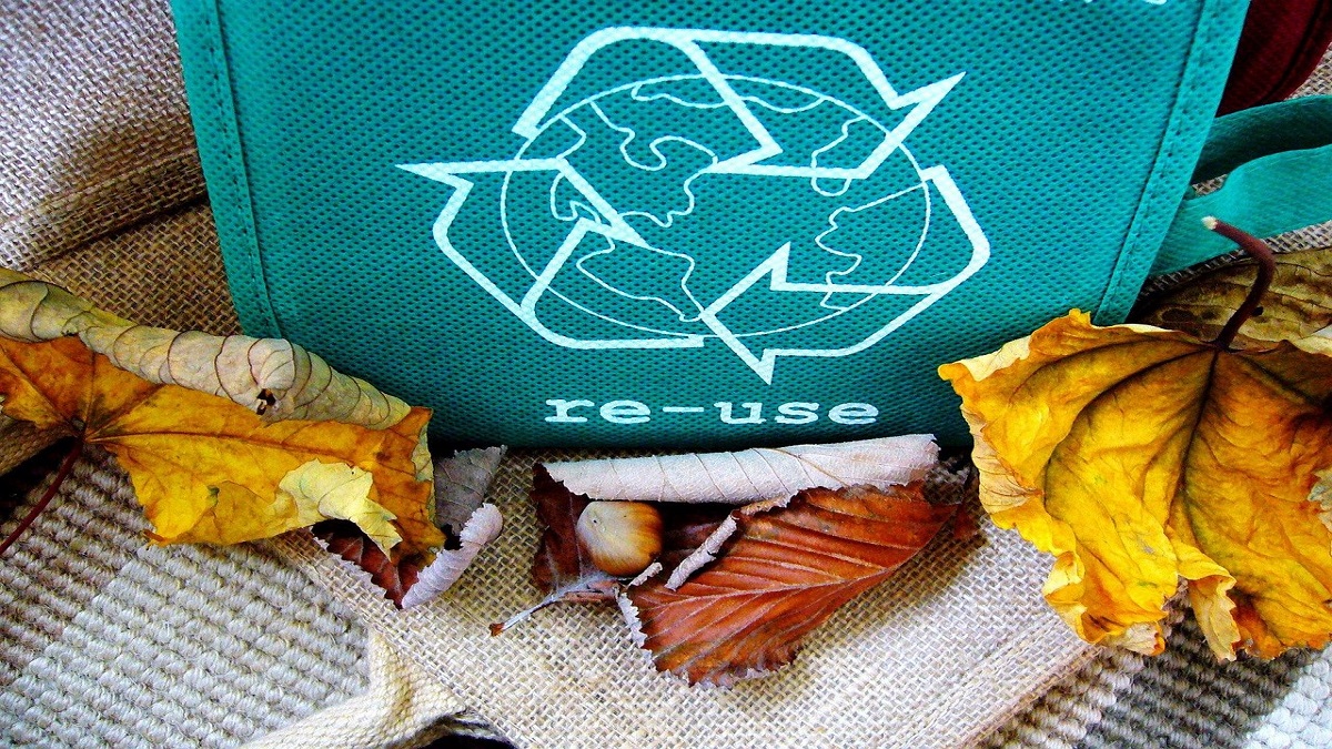Common sense would say that Sustainable and (economically) Healthy Enterprises (SHE) will be more relevant in the coming era of work. (Image: pixabay) Common sense would say that Sustainable and (economically) Healthy Enterprises (SHE) will be more relevant in the coming era of work. (Image: pixabay)
