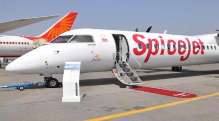 spicejet shares