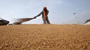 wheat exports