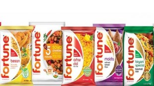 Its net profit stood at Rs 175.70 crore in the year-ago period.