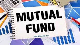 The allocation to international equities can be made through globally diversified equity funds or geography focused funds such US, Europe and emerging markets dedicated funds.