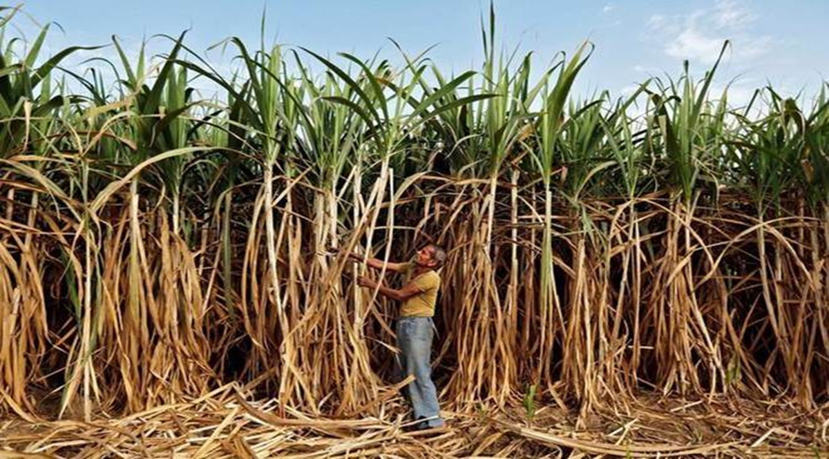 The Cabinet Committee on Economic Affairs (CCEA) approved the increase subject to base sugar recovery of 10.25%.