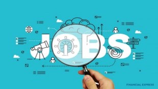 hiring of freshers, freshers jobs, fresh graduates jobs