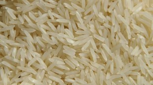 The government has fixed the minimum support price (MSP) of 'common' grade paddy at Rs 2,040 per quintal and 'grade A' at 2,060 per quintal for the 2022-23 marketing year.