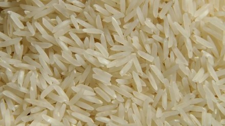 The government has fixed the minimum support price (MSP) of 'common' grade paddy at Rs 2,040 per quintal and 'grade A' at 2,060 per quintal for the 2022-23 marketing year.