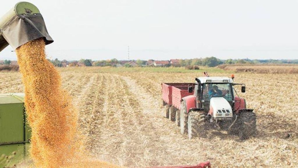 APEDA initiates pilots to boost export of agricultural products
