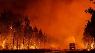 France, climate crisis, heatwave, Europe, France wildfire, global warming, wildfire
