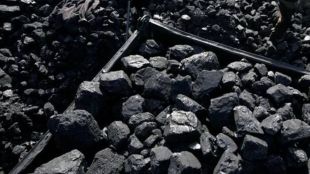 CIL's coal output rises 11 pc in July