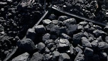 CIL's coal output rises 11 pc in July