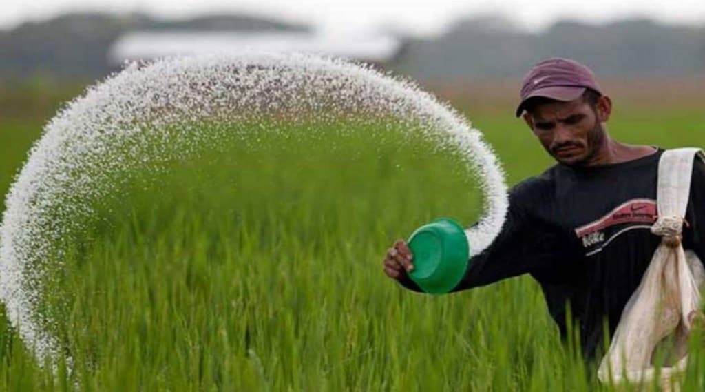 Fertilisers subsidy