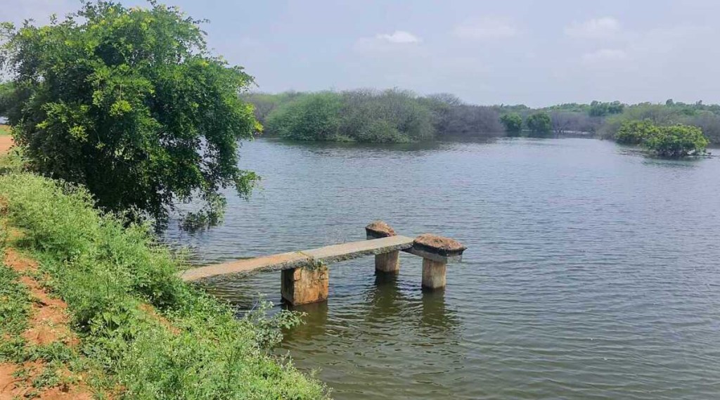 bengaluru lake
