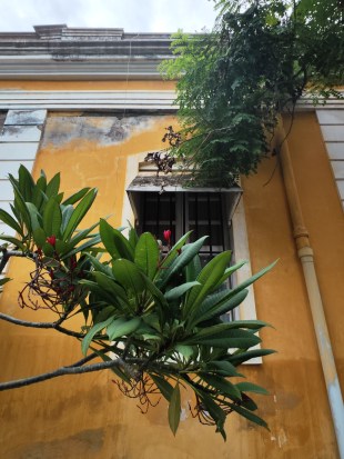 Xiaomi 12S Ultra is a great story-teller phone with an almost perfect camera | Hands-on