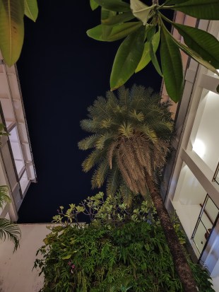 Xiaomi 12S Ultra is a great story-teller phone with an almost perfect camera | Hands-on