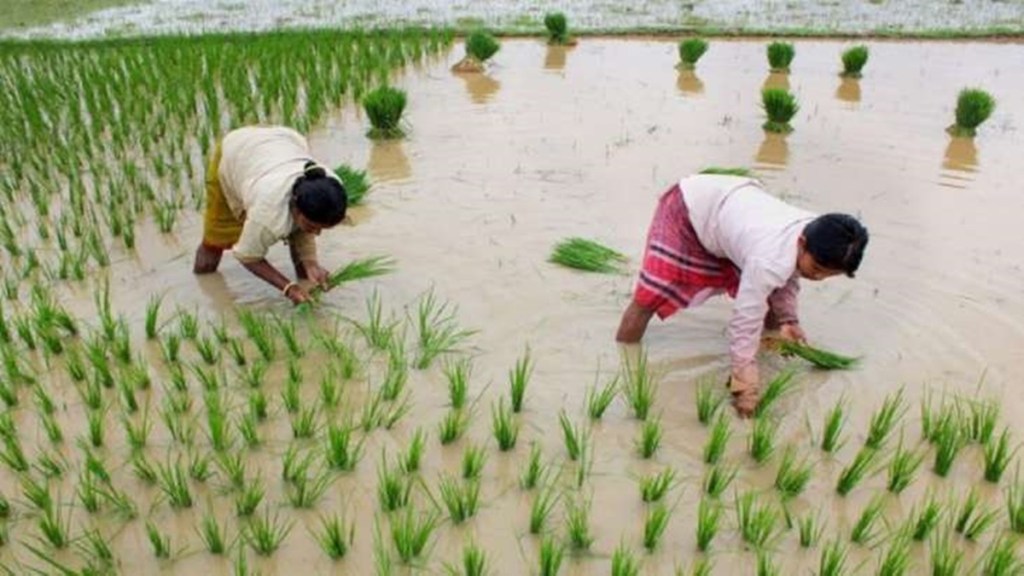 The panel has 26 members including the chairman, while three membership slots are kept aside for representatives of SKM. "After a day long deliberation, the committee decided to form four sub-groups or committees on three mandated topics," the committee member Binod Anand told PTI. Anand, who is holding the charge of general secretary at farmers' group CNRI, said the first group will study Himalayan states as well as the cropping pattern and crop diversification and how to ensure MSP support in those states.