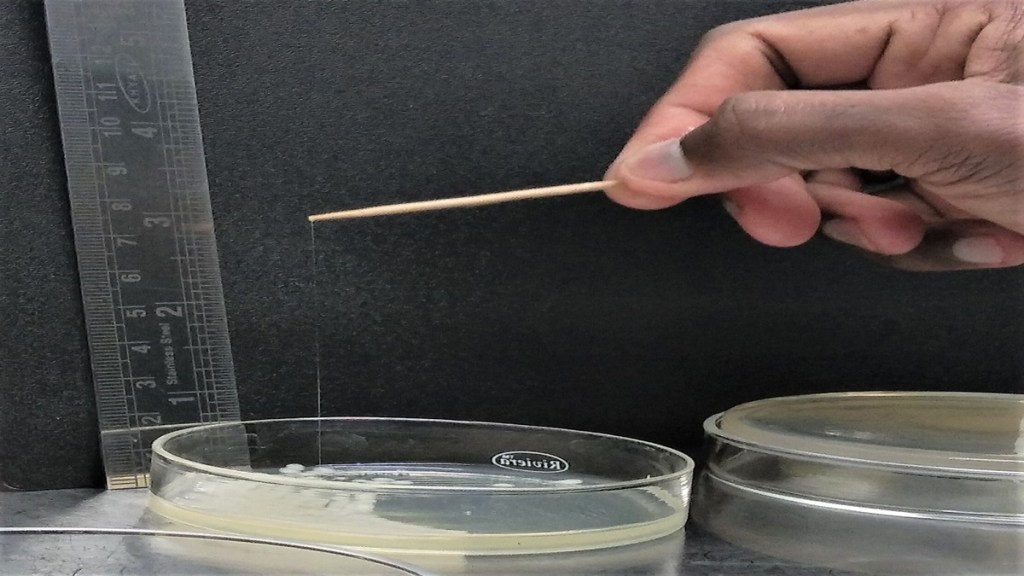 IIT Jodhpur, IIT scientists, infections, health news, healthcare news,