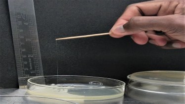 IIT Jodhpur, IIT scientists, infections, health news, healthcare news,