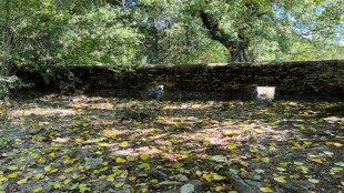 Thames source