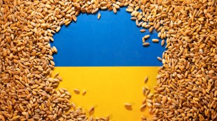 Ukraine, Ukraine crisis, Russia, Russia war