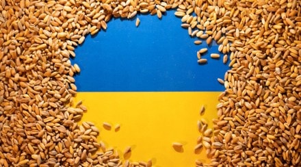 Ukraine, Ukraine crisis, Russia, Russia war