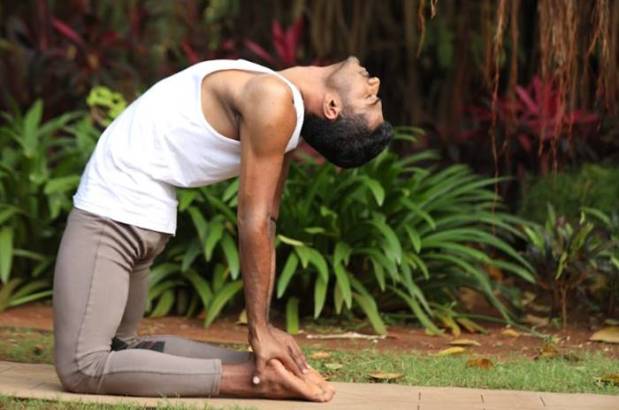 Ushtrasana