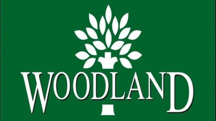 Before the pandemic, Woodland was getting around 10 to 12 per cent of sales from online channels, he added.