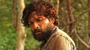 SIIMA, SIIMA nominations, Allu Arjun, Minnal Murali, Tovino Thomas, Dhanush, South movies