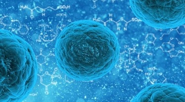 Langya virus, nipah virus, zoonotic diseases, china, langya outbreak, health news,