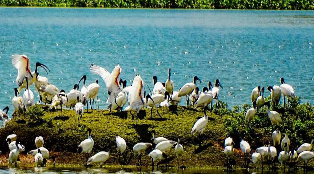 tamil nadu ramsar sites