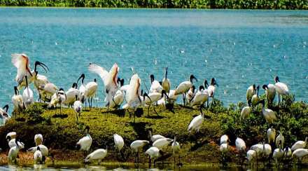 tamil nadu ramsar sites