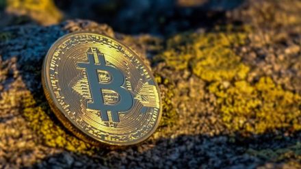 Reportedly, users are tricked into exploring a phishing website through fake warnings of their cryptocurrency assets being at risk