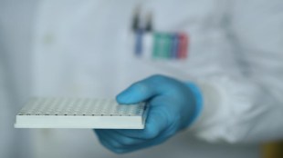 science, western, India