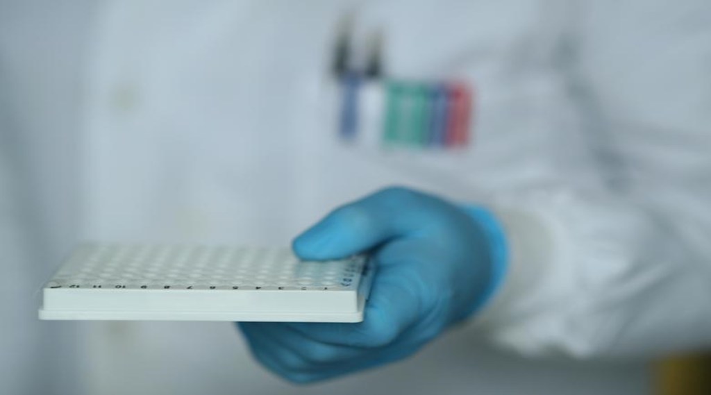 science, western, India