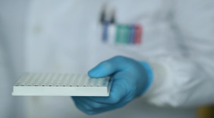 science, western, India
