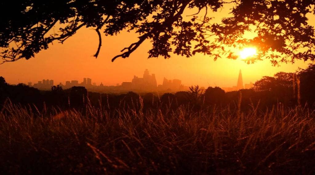 heatwave in britain