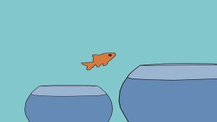 micro enterprises grew into small businesses