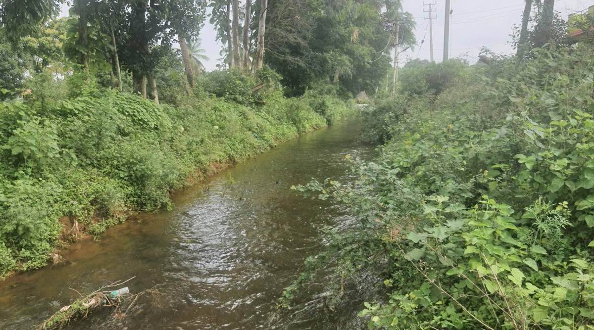 bengaluru lakes rejuvenation