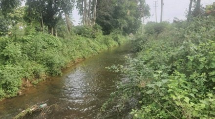 bengaluru lakes rejuvenation