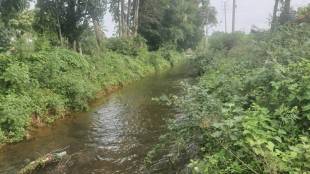 bengaluru lakes rejuvenation