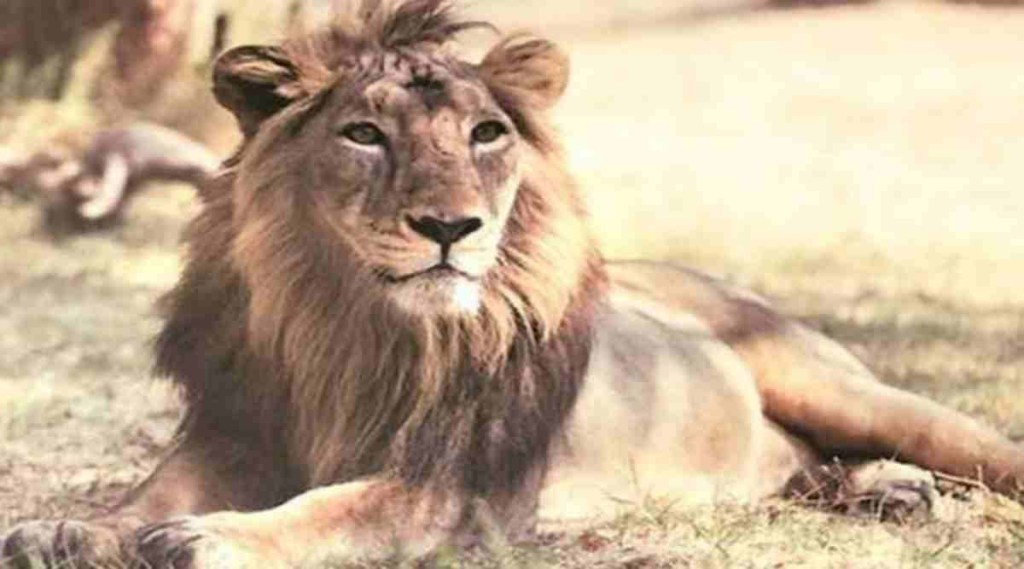 The government had issued the 'guidelines for Captive Non-Public Network (CNPN) licence' on June 27