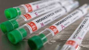 Monkey pox, monkey pox infection, Monkeypox India, WHO, small pox, health news, ICMR-NIV study,