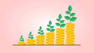 nippon india multi cap fund review