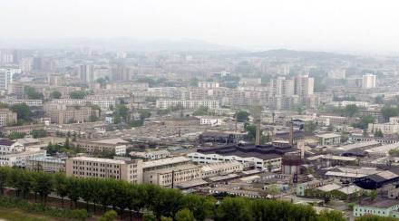 north korea covid 19 cases