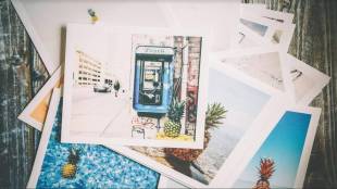 photographs