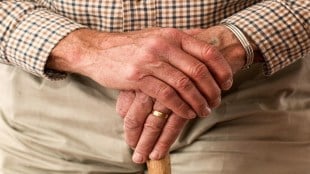 World Senior Citizen day, older people healthcare, mental health, mental health crisis, health news,