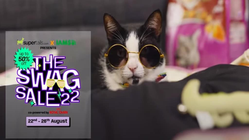 The campaigns challenge popular culture and its common exclamations that throw a negative light on the life/behaviour of animals.