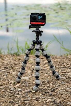 World Photography Day